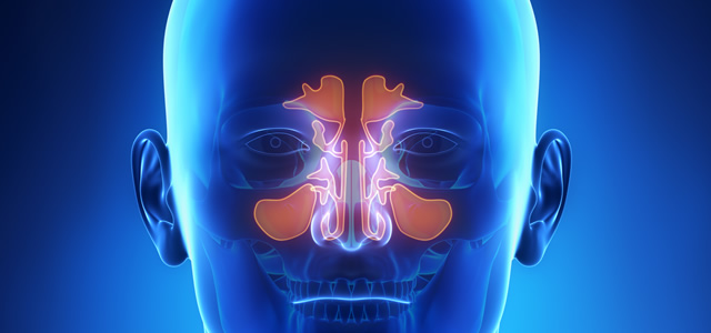 Sinus and Nasal Experts Joliet, New Lenox, Morris