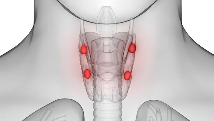 Parathyroid