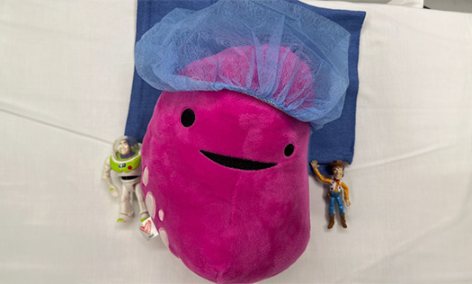 Pediatric ENT